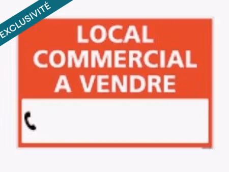 vente locaux professionnels 135 m² à saint-juery (81160)  110 000 €