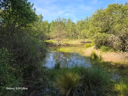 vente terrain à les choux (45290)  230 000 €