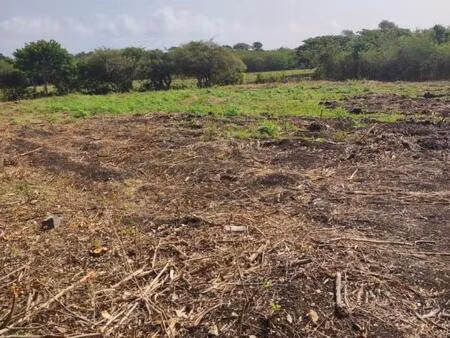 terrain constructible