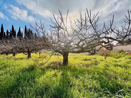 vente terrain 711 m² à la farlède (83210)  310 000 €