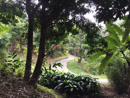 vente d'une propriété boisée de 12800 m2 batie d'une demeure