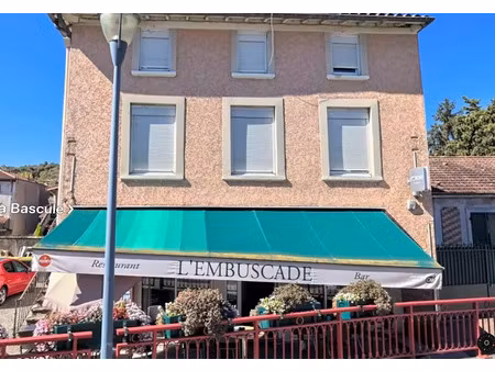 vente locaux professionnels 78 m² à loire-sur-rhône (69700)  145 000 €