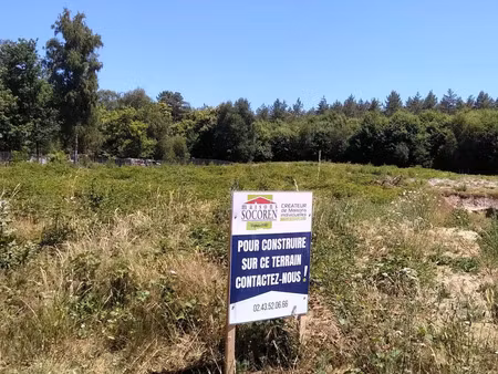 vente terrain à villaines-la-gonais (72400) : à vendre / villaines-la-gonais