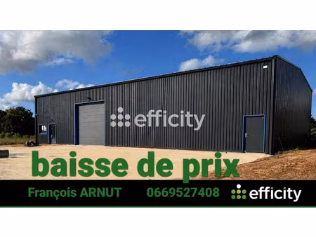 vente locaux professionnels 360 m² à beurlay (17250)  338 940 €