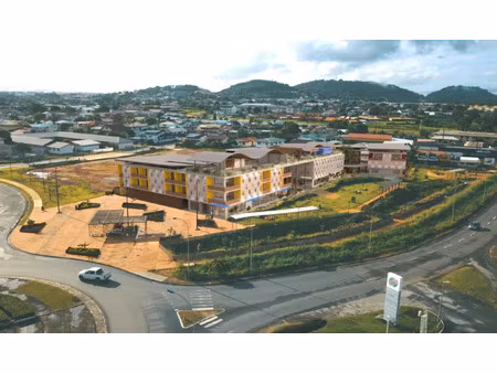 vente locaux professionnels 292 m² à cayenne (97300)  949 135 €