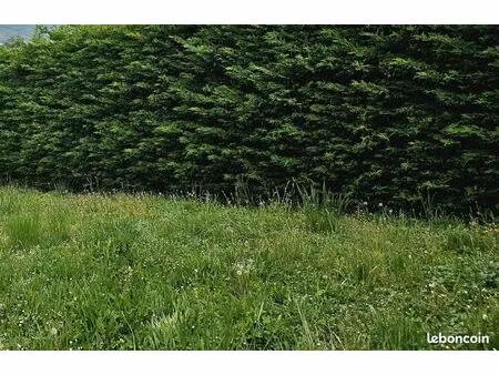 terrain 670 m² bage le chatel