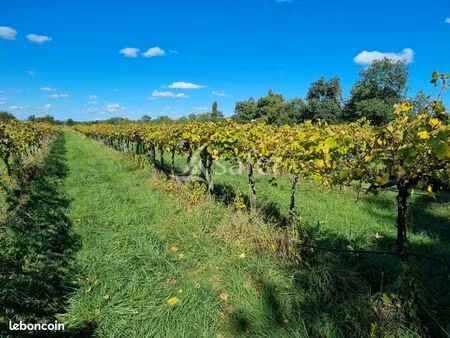 propriété 98 m² saverdun