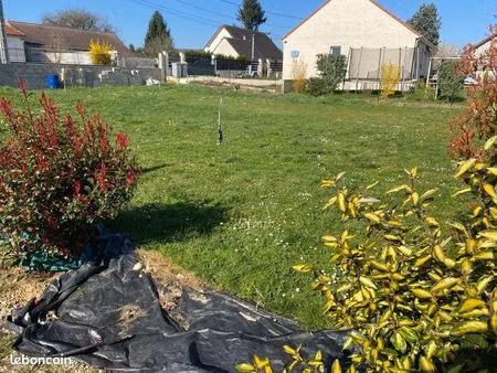 terrain constructible