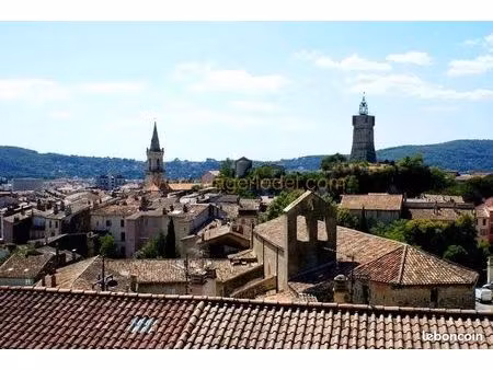 appartement en viager 4 pièces 132 m²