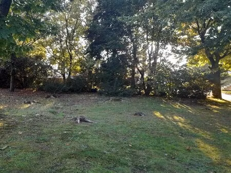 terrain 643 m² montceaux