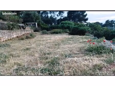 propriété de 4626 mètres carrés