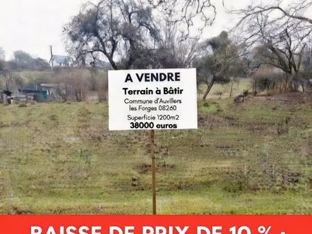 terrain constructible