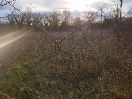 vends terrain agricole secteur saint-martinien