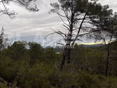 terrain 14680 m² tourves