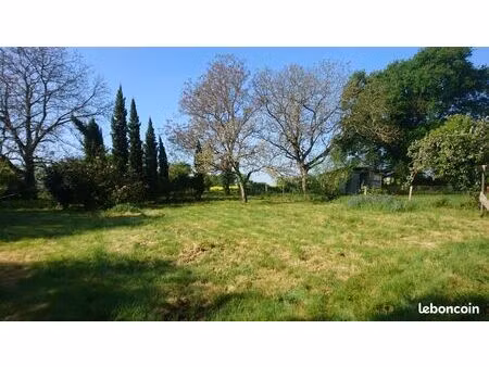 terrain constructible + abri de jardin