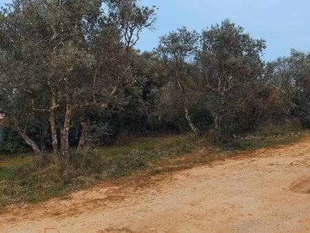 terrain 800 m² saint maximin la sainte baume