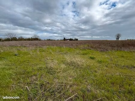 terrain 7002 m² pougy