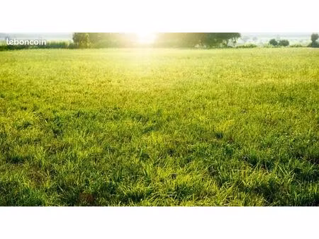 terrain 295 m² palaiseau