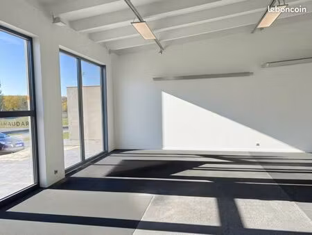 local d’activité - castelnaudary