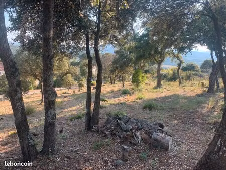 a vendre terrain pierrefeu var