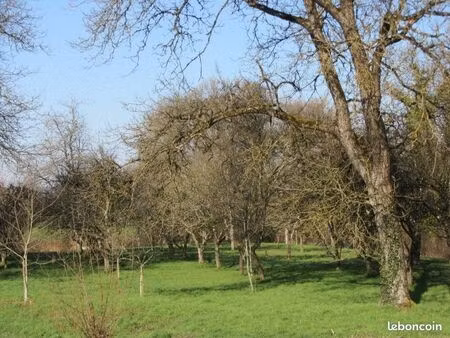 verger à vendre