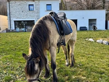 à 25 minutes de genève sur 3 hectares – propriété d’exception dans un environnement nature