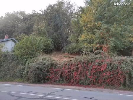 terrain constructible