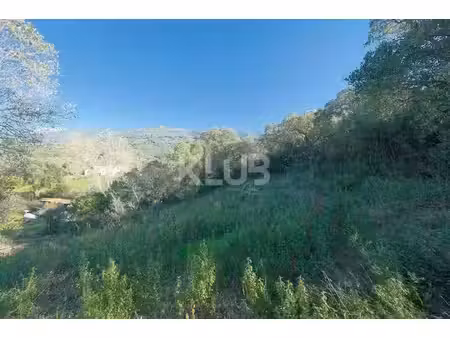 terrain à vendre