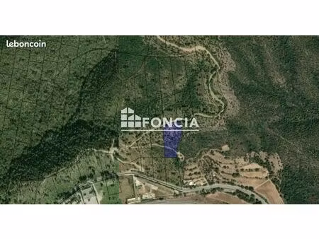 terrain boisé entre la londe et bormes