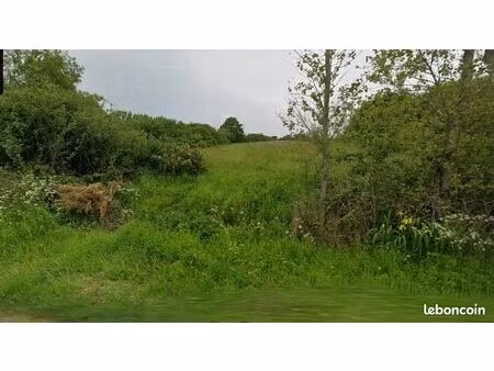 terrain 429 m² sallertaine