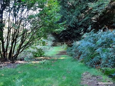 terrain 9 773 m² cognac la foret