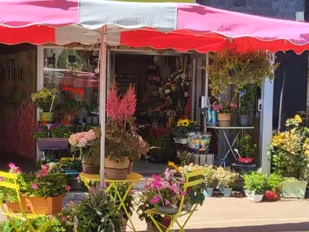 fonds de commerce  fleuriste perros-guirec