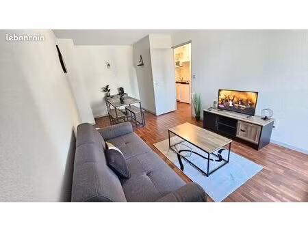 appartement t2 65100 lourdes 550