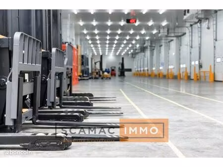 local industriel 465 m²