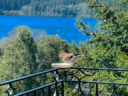 belle maison surplombant le lac de vassivière