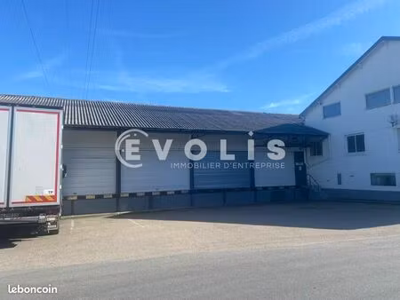 local bureaux 1 119 m²