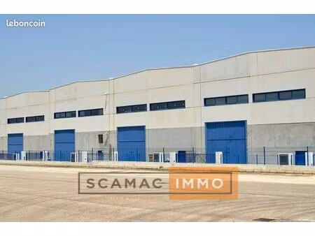 local industriel 250 m²