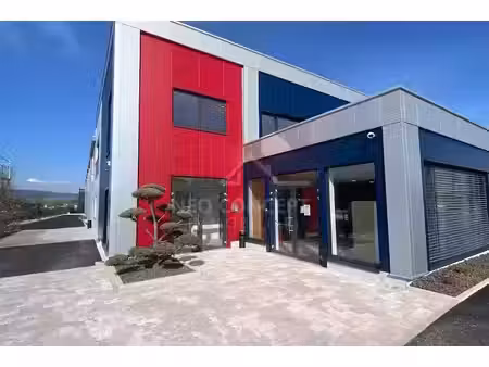 location locaux professionnels 0 pièces 220 m² à wissembourg (67160)  560 €