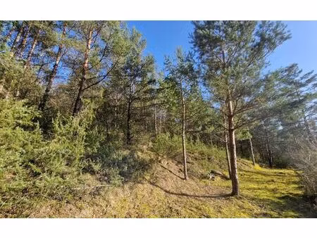 terrain chasteaux m² t- à vendre  44 900 €