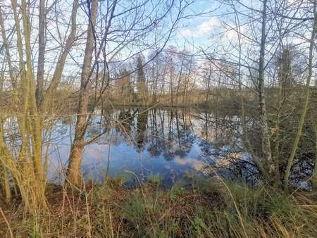 vente terrain à sainte-cécile (85110) : à vendre / sainte-cécile