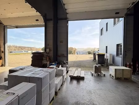 location locaux professionnels 1330 m² à beaupuy (31850)  8 813 €