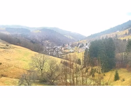 vente appartement 4 pièces 100 m² le bonhomme (68650)