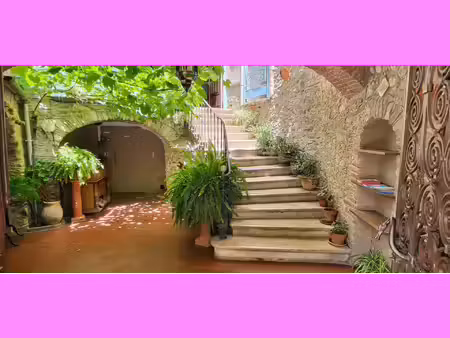 vente commerce 19 pièces 900 m² céret (66400)
