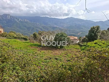 terrain tavaco 915 m2