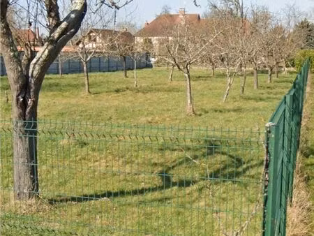 terrain constructible viabilise 1585 m2