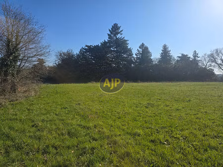 terrain pierric 1858 m2 constructible.