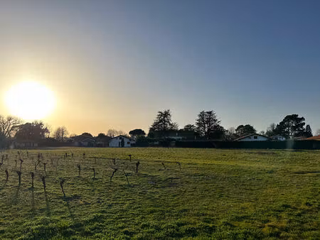 seignosse bourg terrain constructible et viabilisé