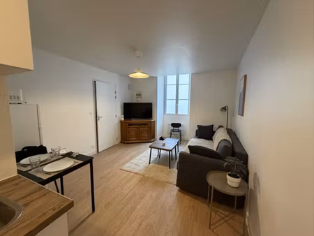 à louer appartement meublé 31 62 m2 en centre-ville de sab