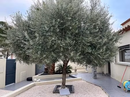 vente maison 6 pièces 143 m² perpignan (66000)