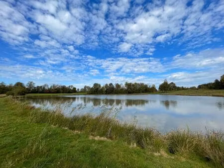 vente terrain 30600 m² magnivray (70300)